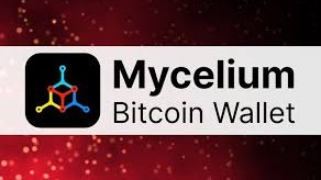 How to Reach out to Mycelium Support USA 