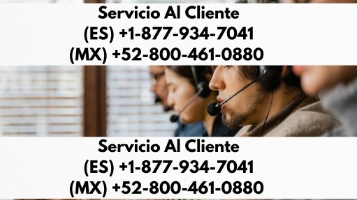 Gua paso a paso para contactar al servicio al cliente de Turkish Airlines