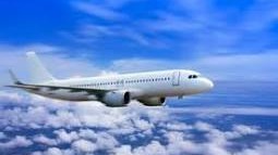13 Ways to Call How Can I Speak To Someone at Tap Air Portugal A Full Detailed Guide