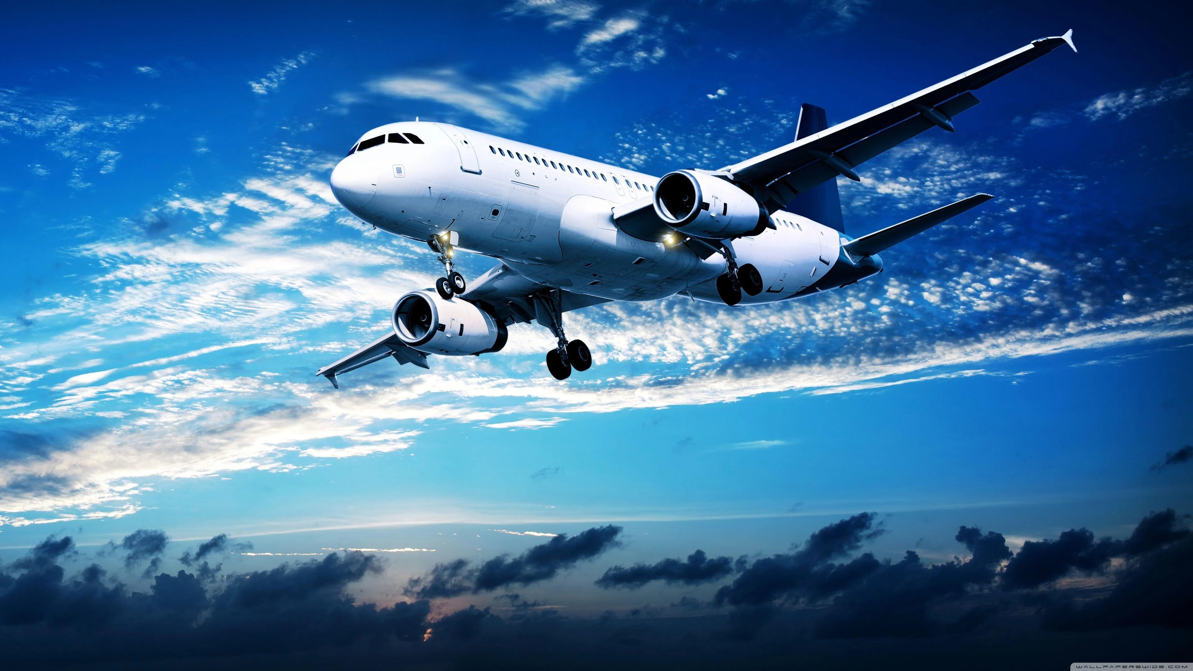 7 Best Ways to Reach America Fly Miles Airlines Human Support