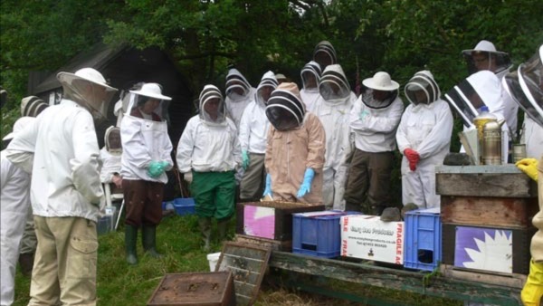 Leek and Moorlands Beekeepers