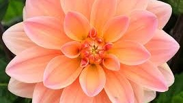 15 Ways to Contact How can i speak to someone at Gemini Support Number247 The Complete Guide