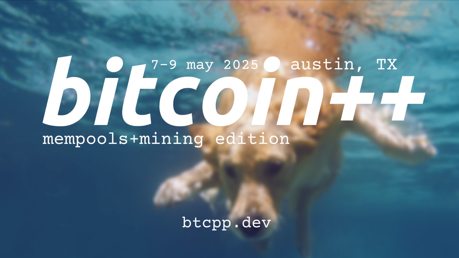 bitcoinplusplus mempools  mining edition