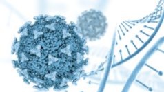 Webinar On Stemcell and Tissue Engineering