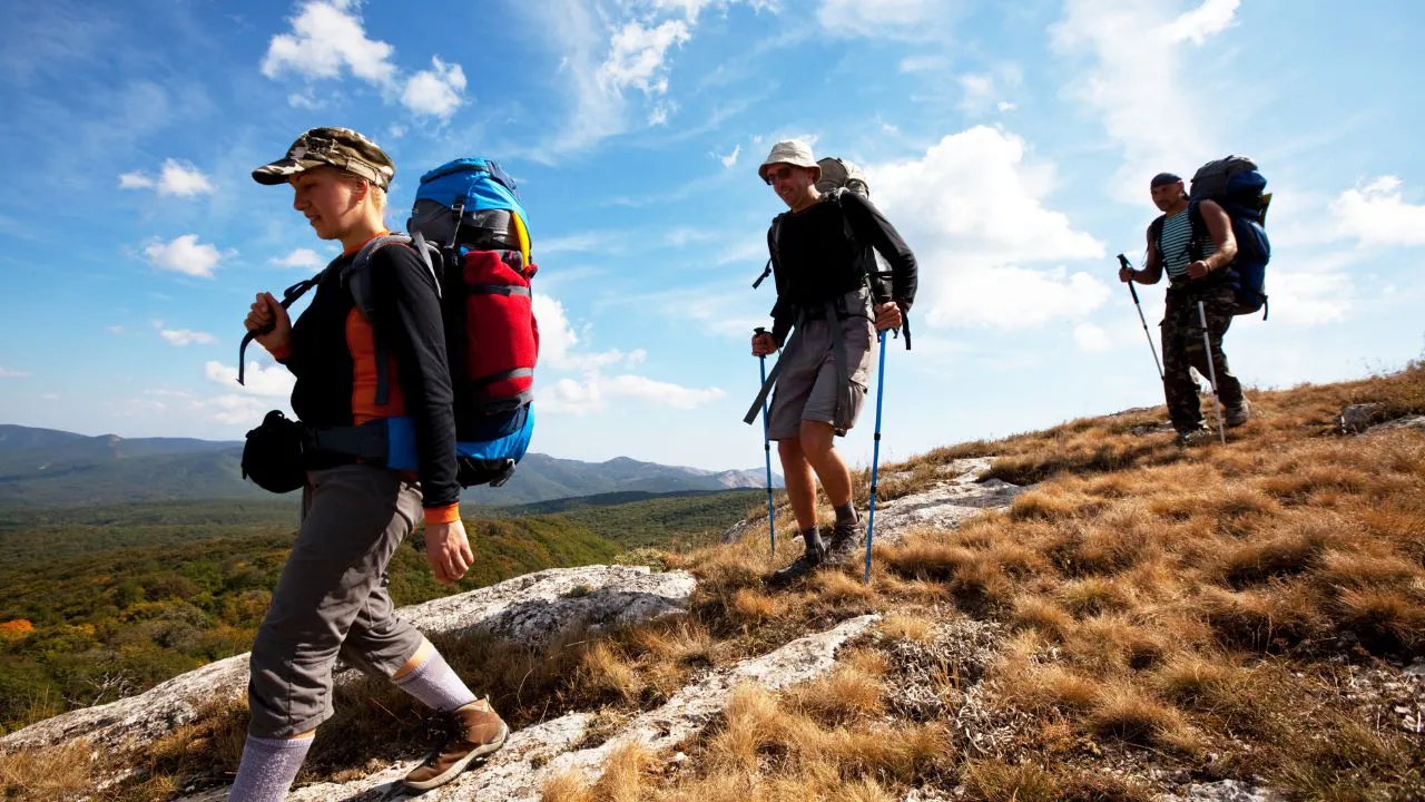 *Every Trail* : Bay Area Hiking and Outdoor Activities Group