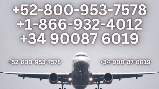 How Vista Global Offers Private Jet Flights Flights Offers
