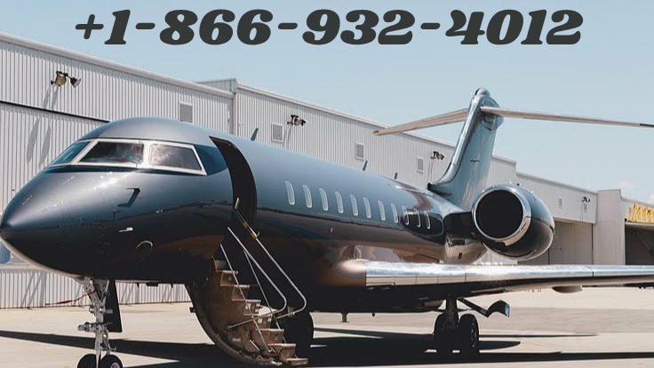 How Vista Global Offers Private Jet Flights free Offer Flights