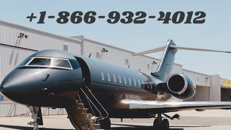 How Vista Global Offers Private Jet Flights Jet Guide