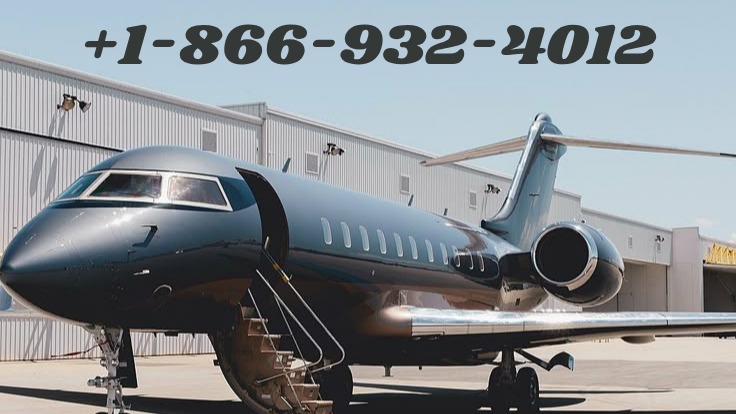 How Vista Global Offers Private Jet Flights  Guide For Vista