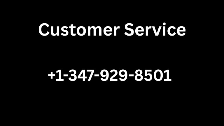 11 Ways to Reach How Do I Contact Trust Wallet Customer Care A Step by Step Guide