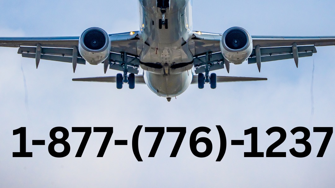 15 Ways to Contact How Do I Talk to Someone at Expedia  A StepbyStep Guide