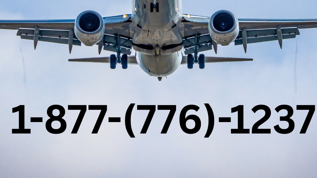 12 StepbyStep Ways to Talk to Spirit Airlines Live Support