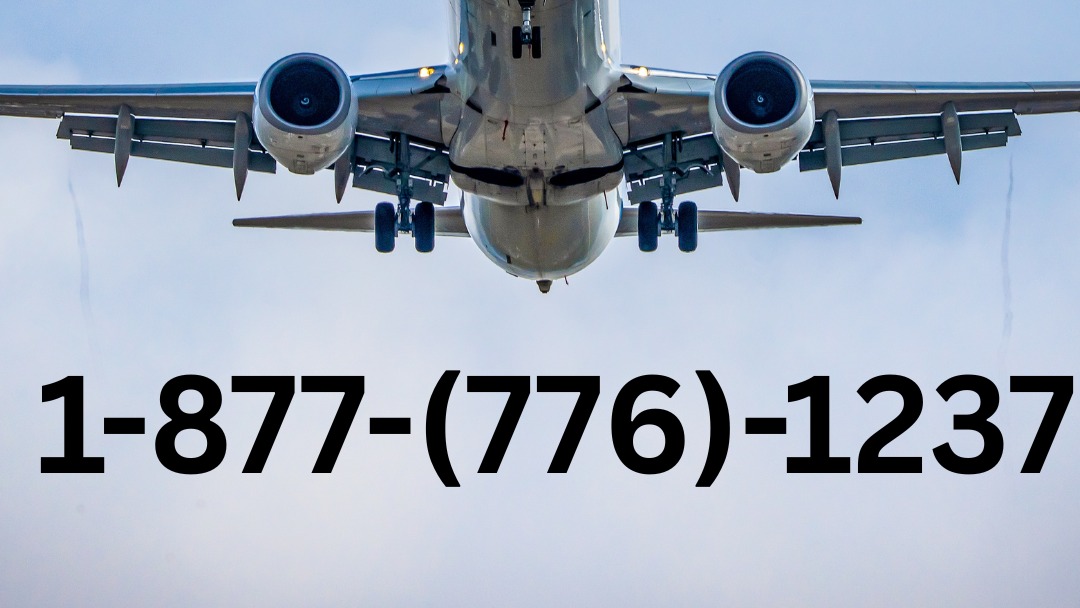 12 Easy Ways to Speak to a Live Agent at Expedia  Support