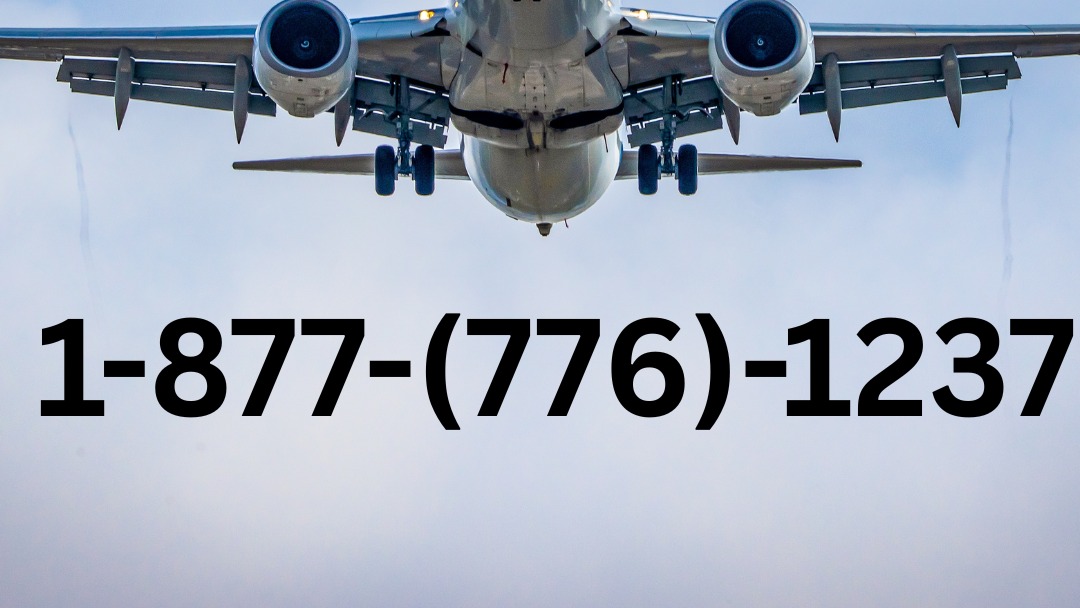 16 Reliable Ways to Talk to Spirit Airlines Without the Wait