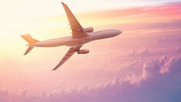14 Ways to Reach United Airline support By Phone Email and Chat Service Options Explained