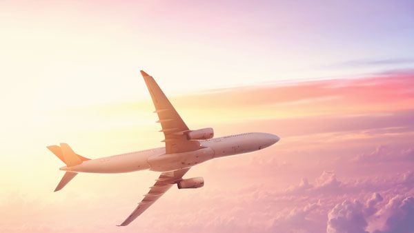 31 Simple Ways to Reach TAP Air Portugal Phone Numbers Emails  Chat Options