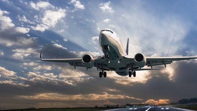 18 Simple Ways to Reach TAP Air Portugal Phone Numbers Emails  Chat Options
