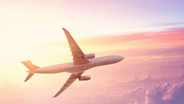 19 Ways to Connect American Airline Customer Service Phone Chat and Email Options Explained Guide