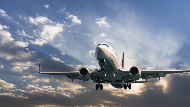 American Airline Support Guide How to Reach Any Carrier via Phone Chat and Email
