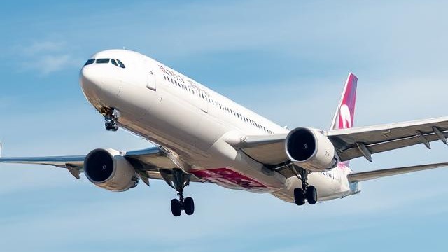 Ways to Contact Southwest Airlines Customer Service Phone and Email Explained